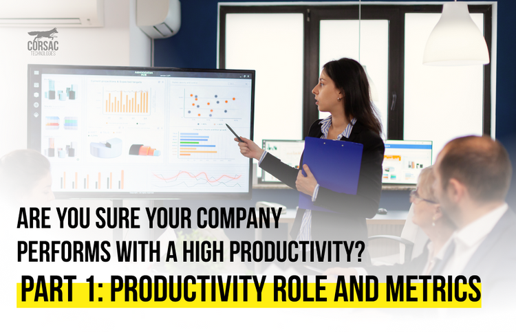 Are you sure your company performs with a high productivity?  Part 1: Productivity role and metrics