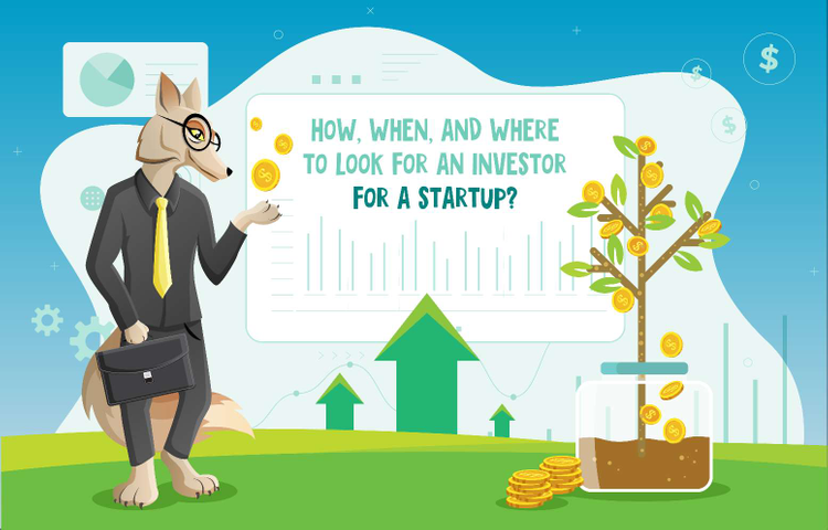 How, when, and where to look for an investor for a startup?