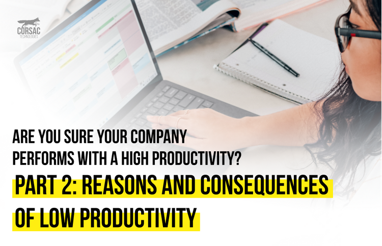Are you sure your company performs with a high productivity?  Part 2: Reasons and consequences of low productivity